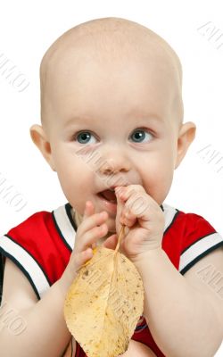 portrait of a young boy with the autumn leaves