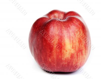 red ripe apple