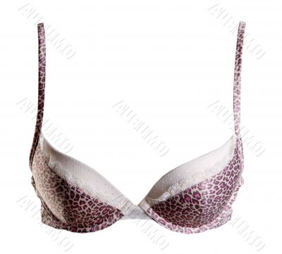 Bra with leopard pattern