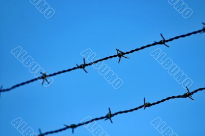 razor wire razor wire
