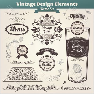 Calligraphic Design Elements