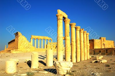 Relics of Palmyra in Syria