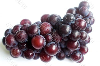 Grape fruits