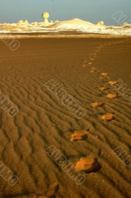 Landscape of the famous white desert in Egypt