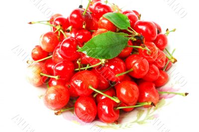 Cherry fruits on a white background