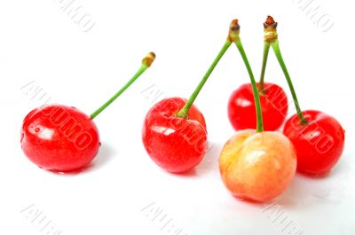 Cherry fruits