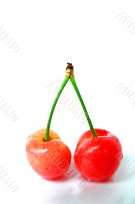 Red cherry fruits on a white background