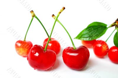 Red cherry fruits on a white background
