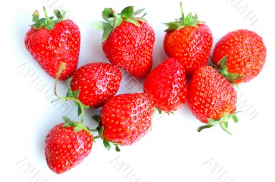 Strawberry fruits