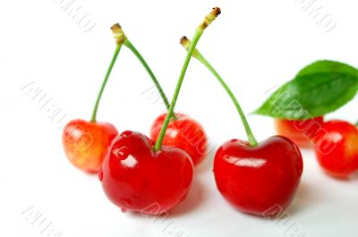 Cherry fruits