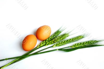 Green wheat ears and eggs