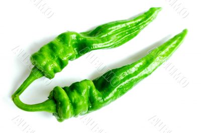 Green pepper