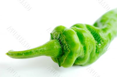 Green pepper