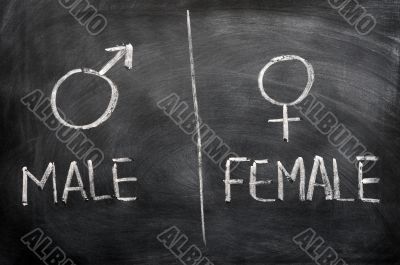Male and female signs