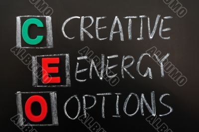 Acronym of CEO - Creative Energy Options