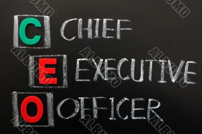 Acronym of CEO - Chief Executive Officer