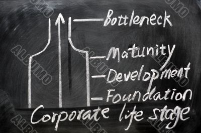 Corporate life stage analysis