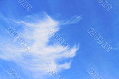 clouds clouds