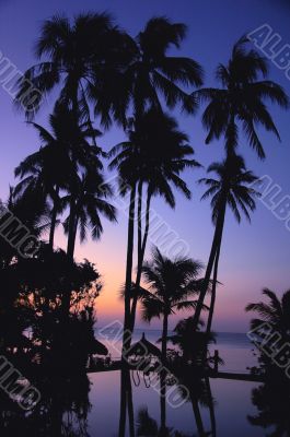 Landscape on the beach