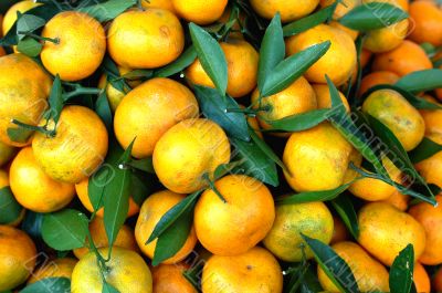 Orange Orange