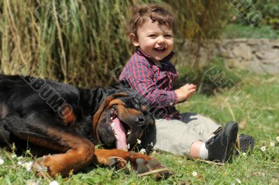 rottweiler and child rottweiler and child