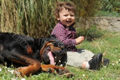 rottweiler and child