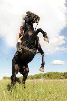 rearing horse