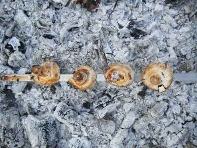 Mushrooms preparing on the hot coals Mushrooms preparing on the hot coals