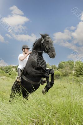 young man and horse