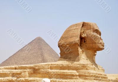 Sphinx in Cairo,Egypt