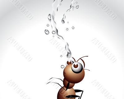 Ant Character