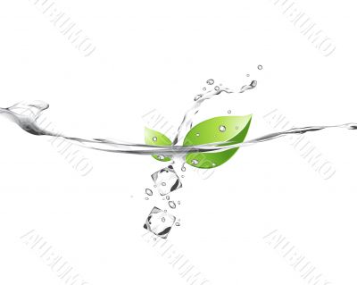 Group_C_028 Group_C_028