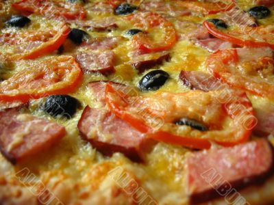 The tasty appetizing pizza The tasty appetizing pizza