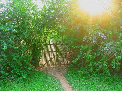 bamboo gate