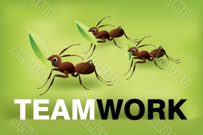 Team Work Spirit