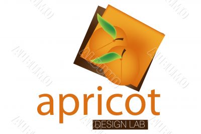 Design Lab Logo