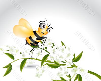Happy Bee Character