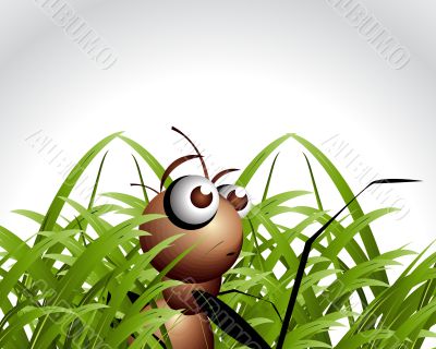 Antic Ant Character