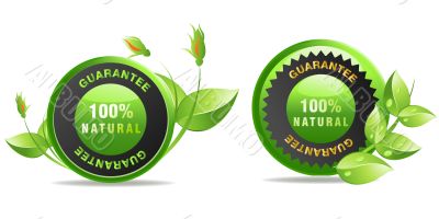  Ecology concept 