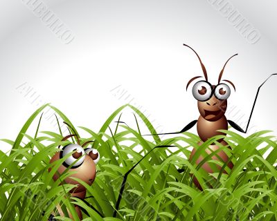 Antic Ant Character