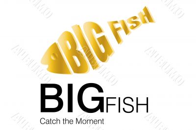 Logo Design for Business Company Logo Design for Business Company