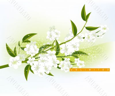Abstract Background Abstract Background