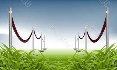 green carpet 