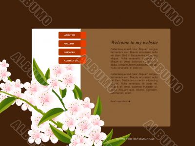 Website Template