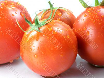Red tomatoes