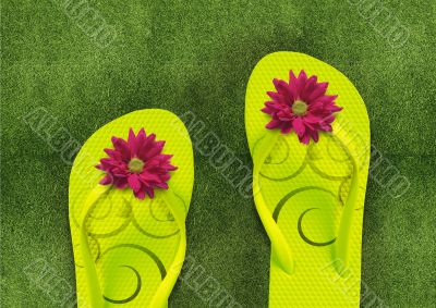 Colorful Flip Flops on green grass