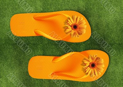 Colorful Flip Flops on green grass