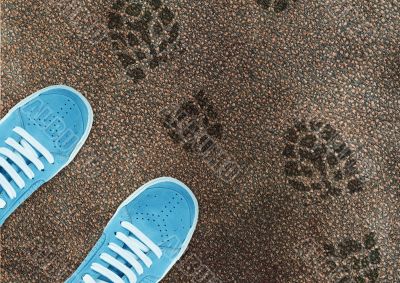 Blue sport shoe on street 