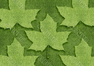 ecology concept ecology concept