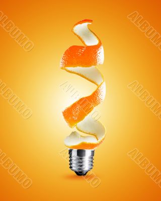 light bulb concept